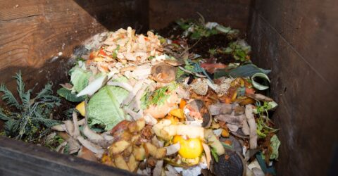 Déchets alimentaires : quelles solutions de tri à Rezé ?