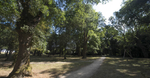 Idées de balades à Rezé : la Jaguère