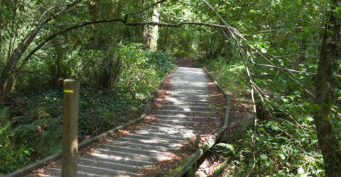 Idées de balades à Rezé : l’Ilette