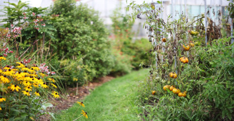 Jardiversité : des ateliers thématiques au plus près de la nature !