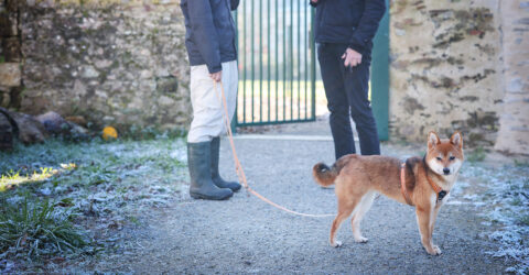 La seconde entrée au bois des Naudières inaugurée
