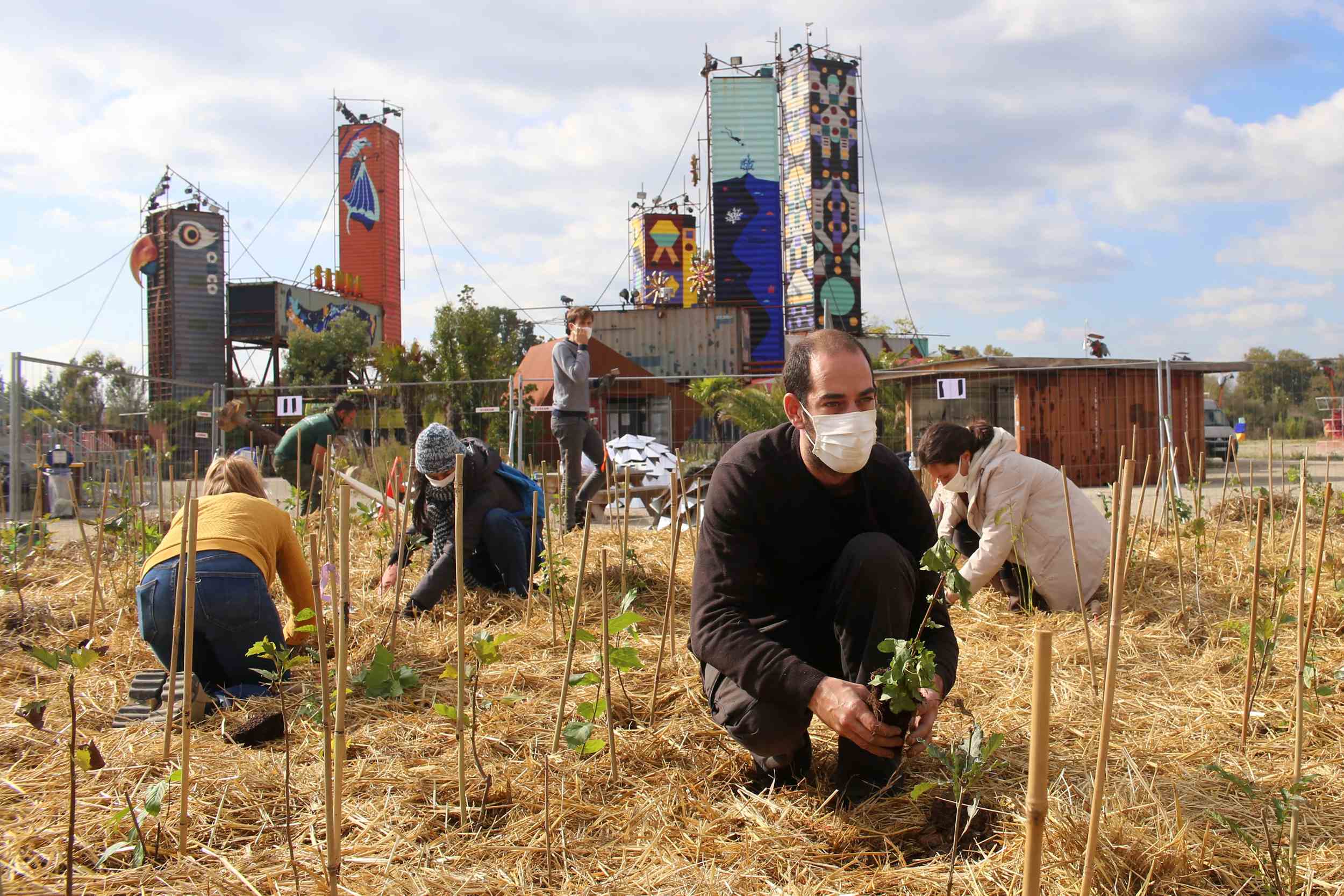 Plantation d'arbres sur le site de Transfert Plantation d'arbres sur le site de Transfert