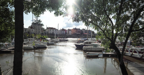 Idées de balades à Rezé : les bords de la Loire