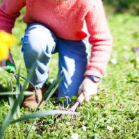 Une fillette avec des outils de jardinage en main, en train de gratter la terre.