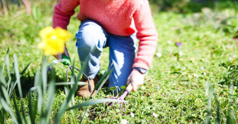 Plantations : nos conseils de printemps !