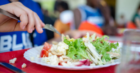 Fortes chaleurs : des repas froids servis aux écoliers  